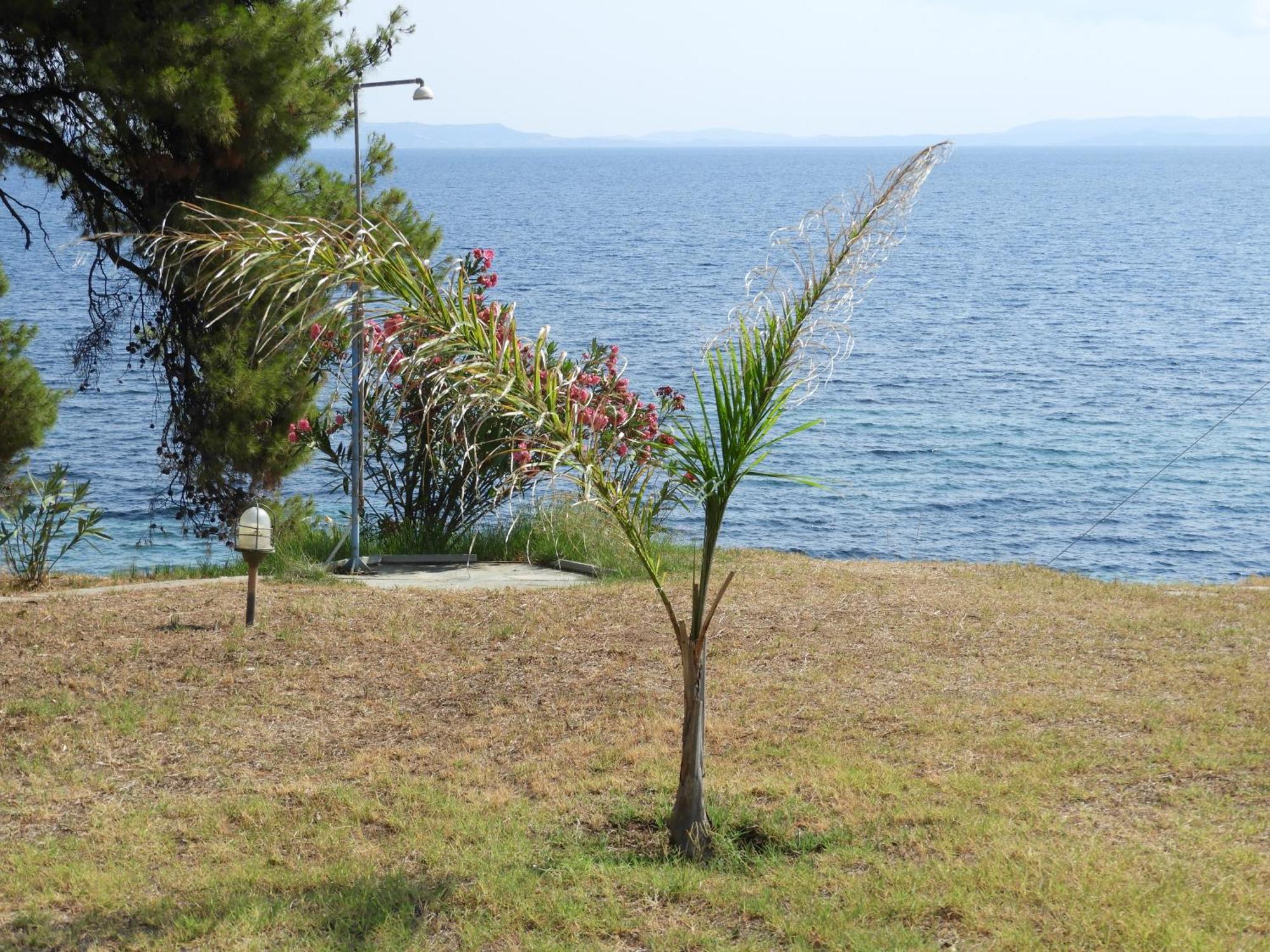 Sangue Blu Beachfront Villa Apartment Agios Nikolaos  Exterior foto